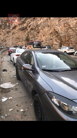 رينو فلوينس